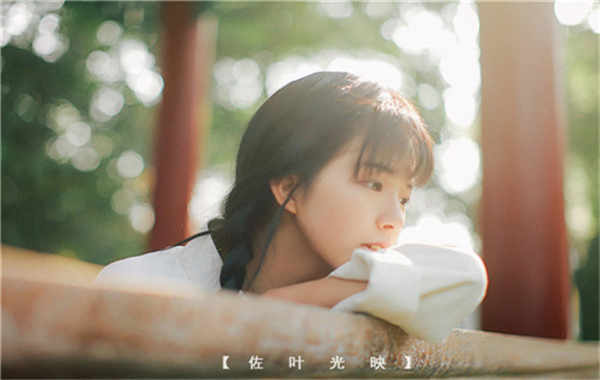 老城胎儿性别鉴定需要多少钱(胎儿性别鉴定的方法)